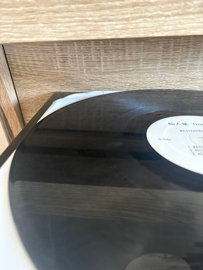 仙人掌 MASTER PIECE 12\" DOGEAR RECORDS 2013