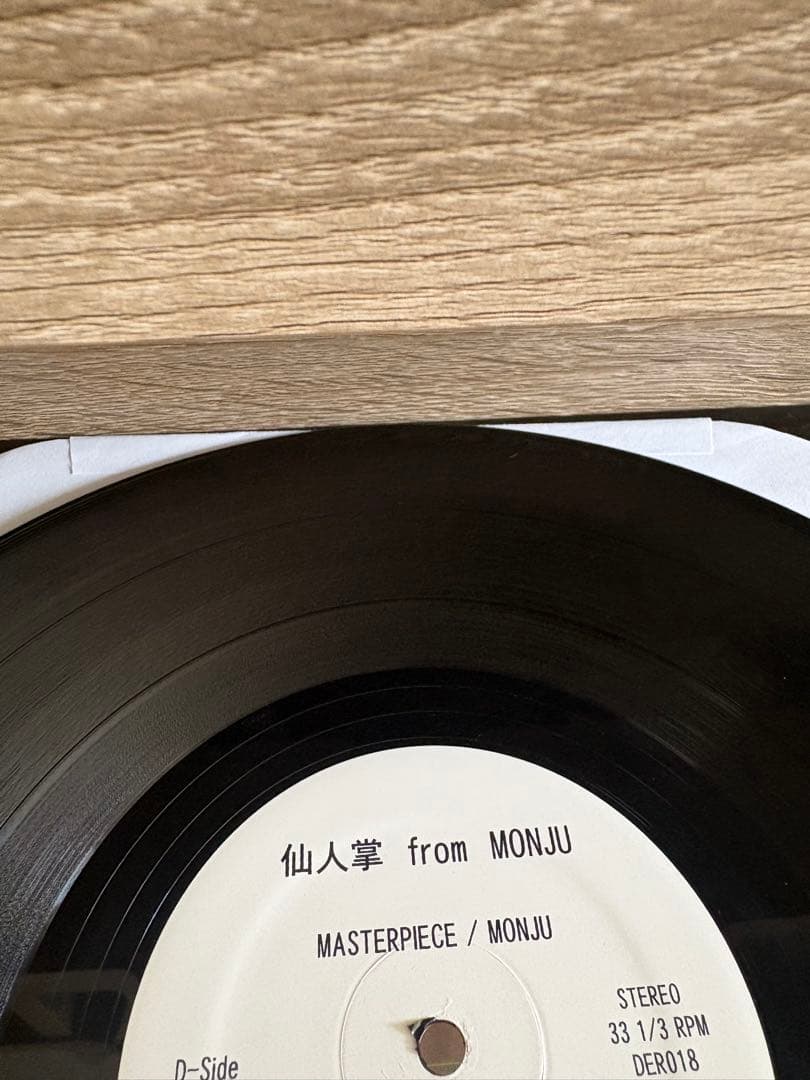 仙人掌 MASTER PIECE 12\" DOGEAR RECORDS 2013