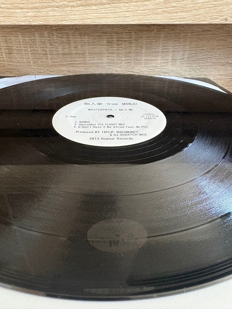 仙人掌 MASTER PIECE 12\" DOGEAR RECORDS 2013