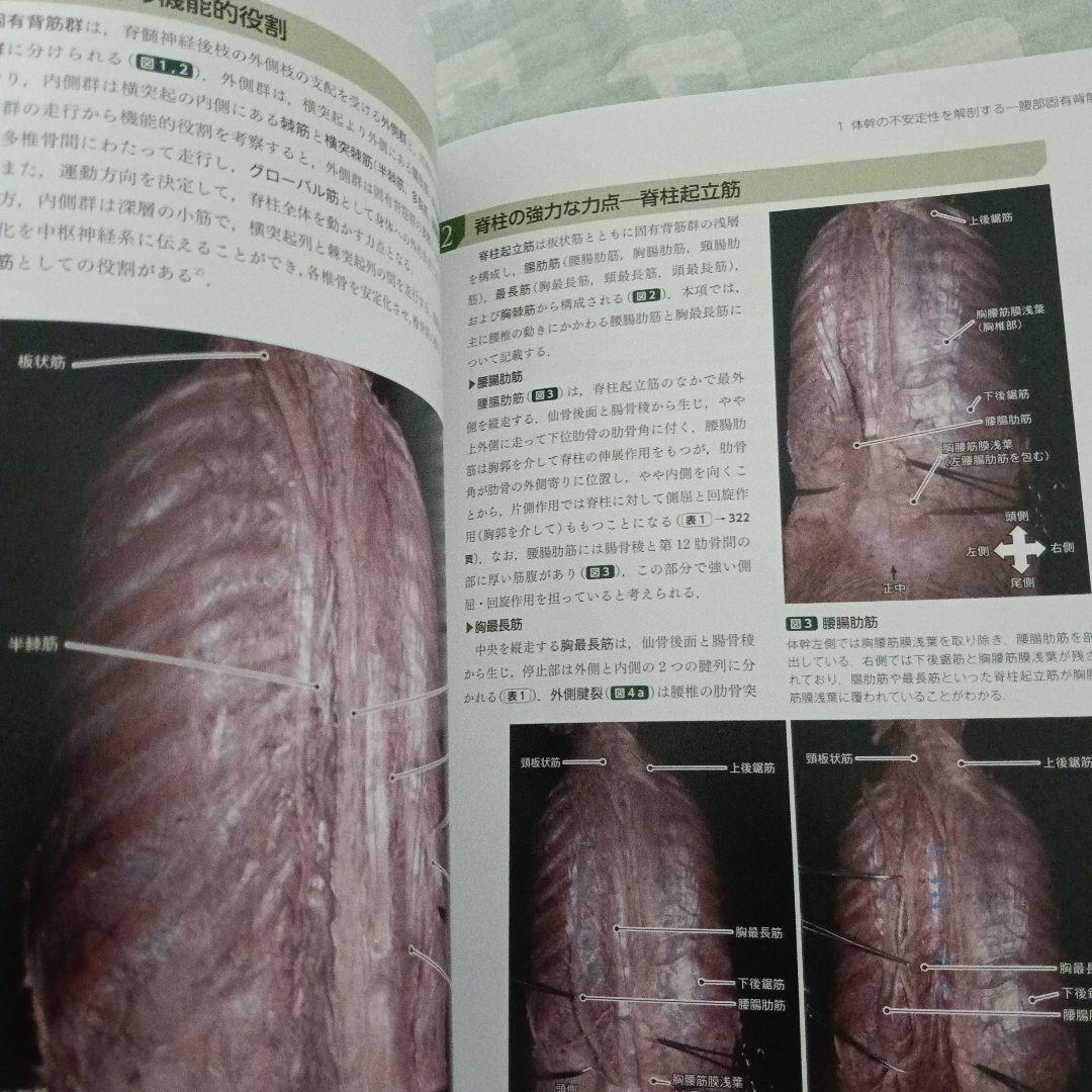 運動療法　その前に！運動器の臨床解剖アトラス