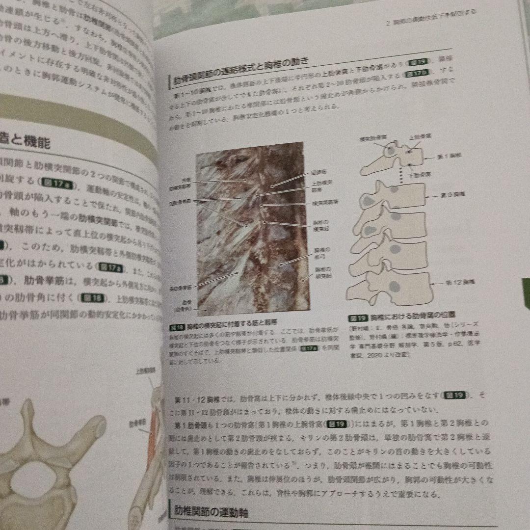 運動療法　その前に！運動器の臨床解剖アトラス