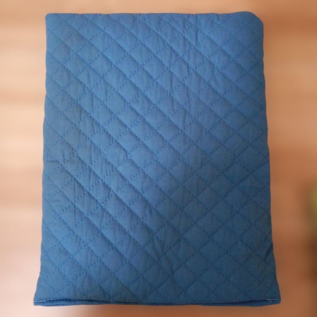 皆能器本舗 温湿布器用ビワの葉エキス900ml×2本（抗菌砂袋・スポンジ付き）