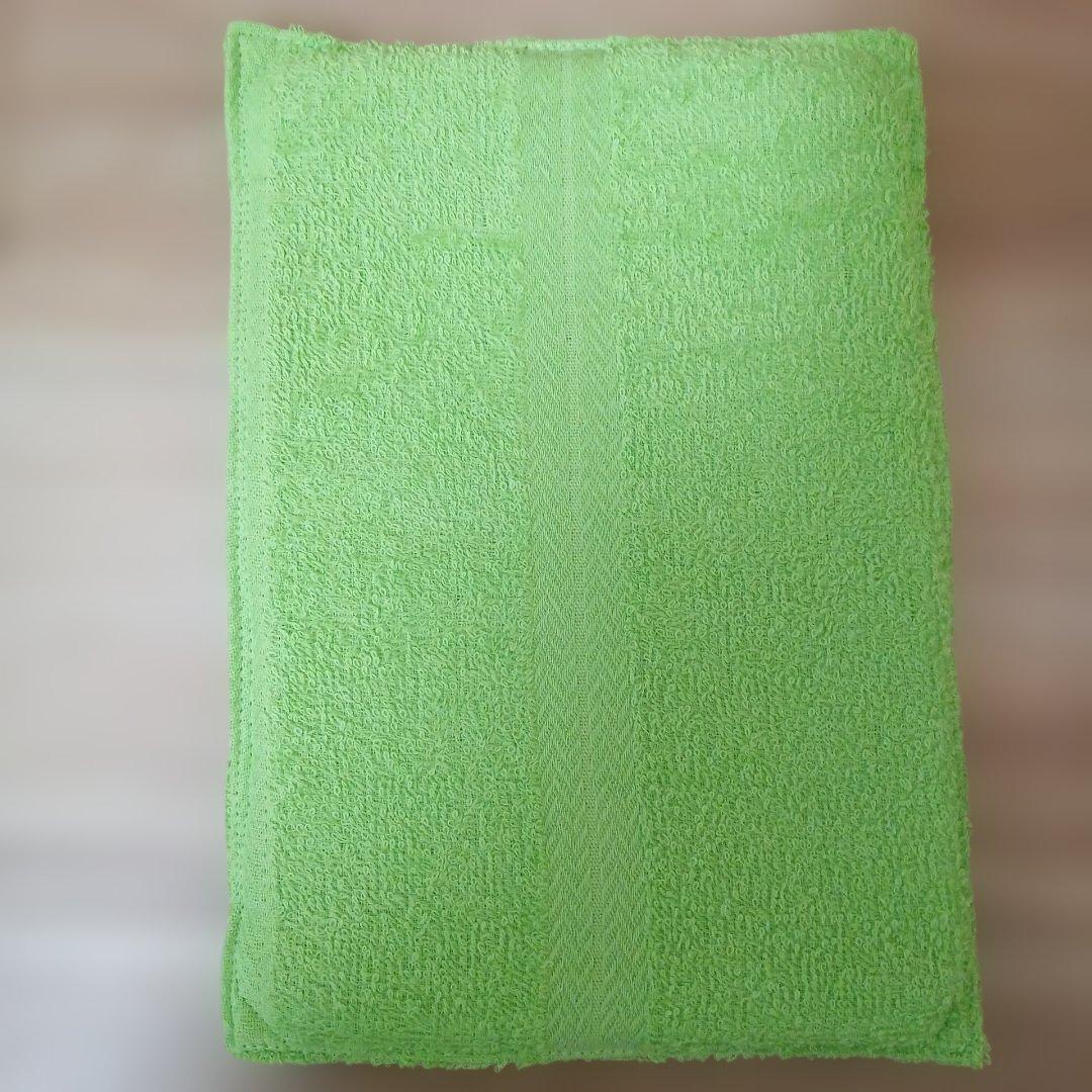 皆能器本舗 温湿布器用ビワの葉エキス900ml×2本（抗菌砂袋・スポンジ付き）