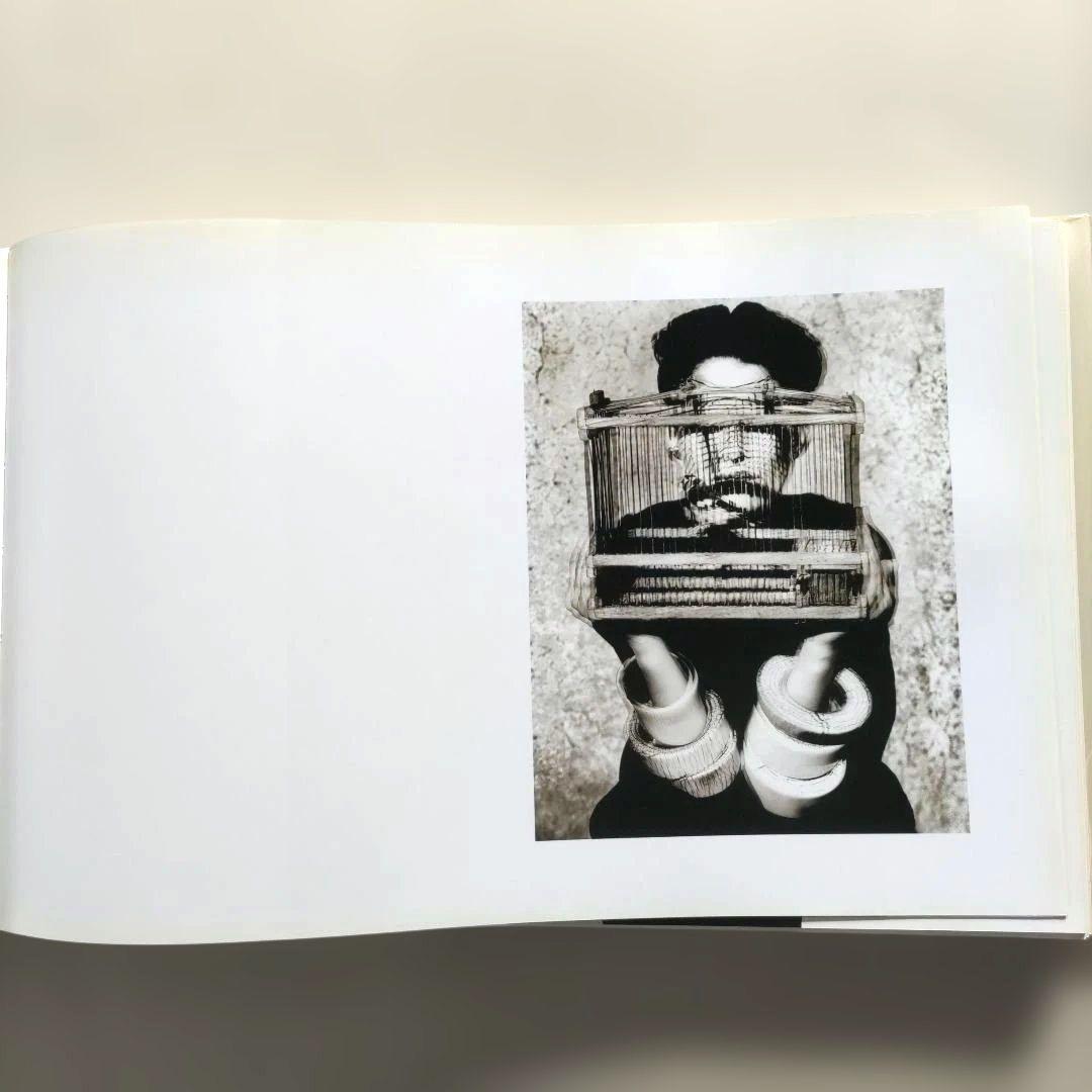 The Vienna Album: Watson/写真集 洋書