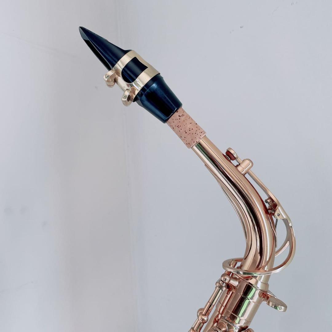 ケルントナー Kaerntner アルトサックス 彫刻入り 管楽器 N2624