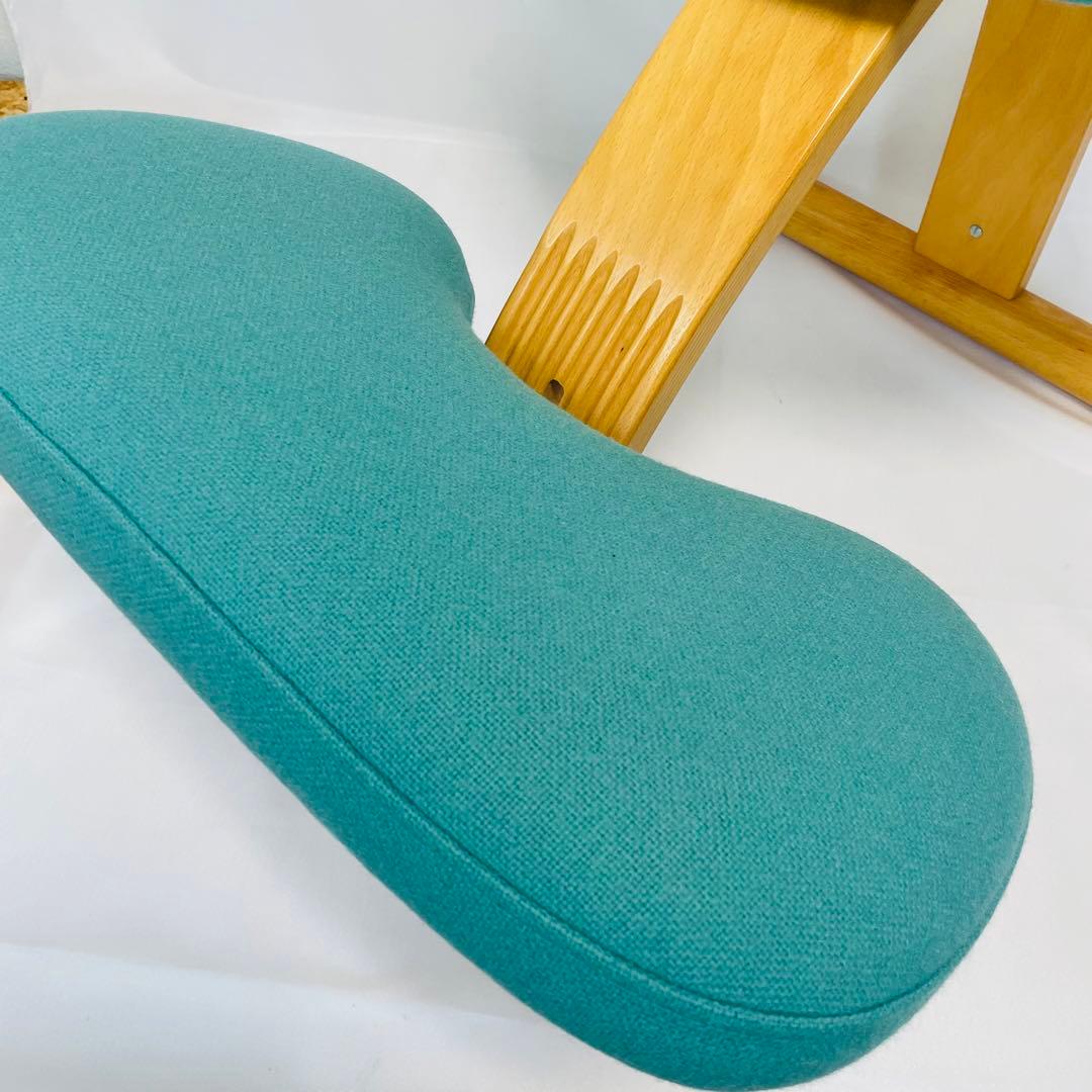 balance EASY Rybo バランスイージー　カバー付き