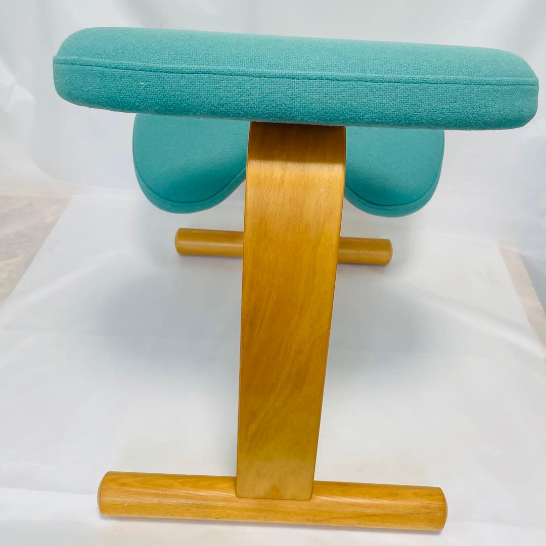 balance EASY Rybo バランスイージー　カバー付き