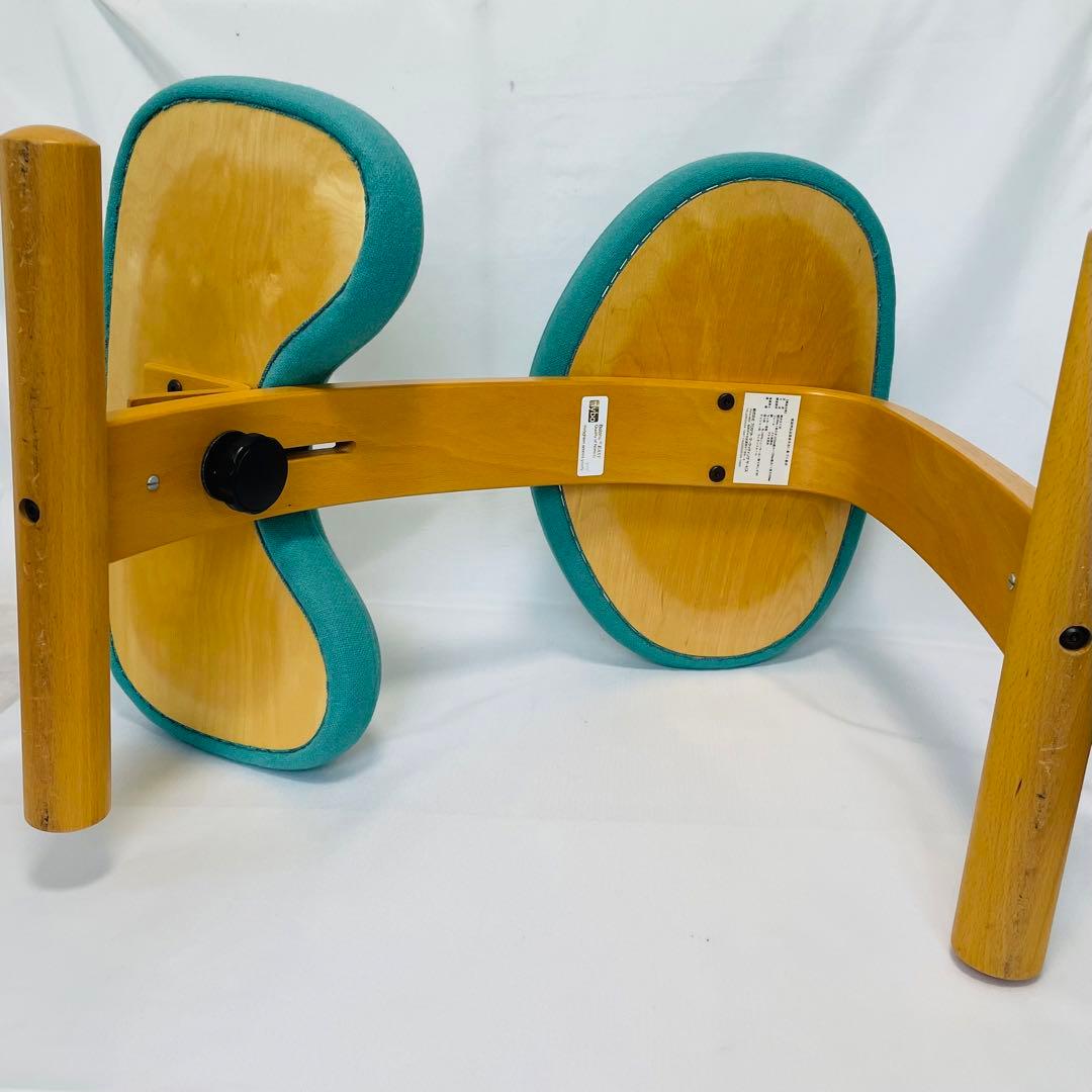 balance EASY Rybo バランスイージー　カバー付き