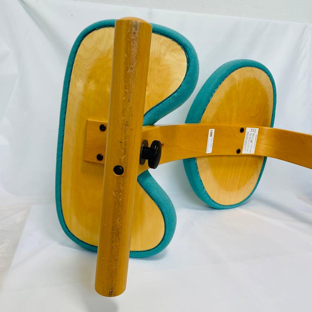 balance EASY Rybo バランスイージー　カバー付き