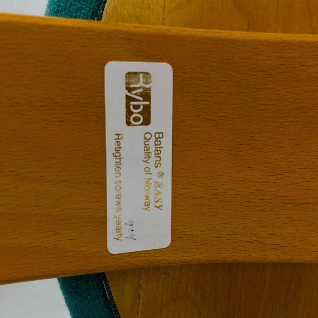 balance EASY Rybo バランスイージー　カバー付き