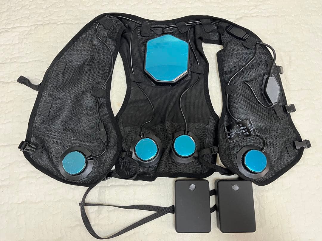 2025年モデル　ペルチェベスト　ワークマン　予備バッテリー付き