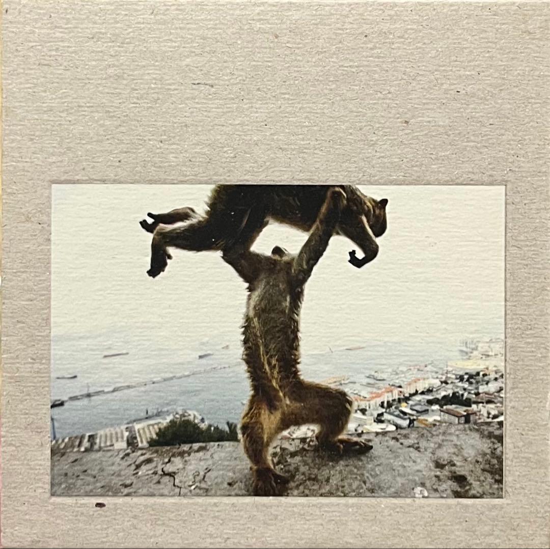 Shellac Steve Albini スティーヴ・アルビニ シェラック CD