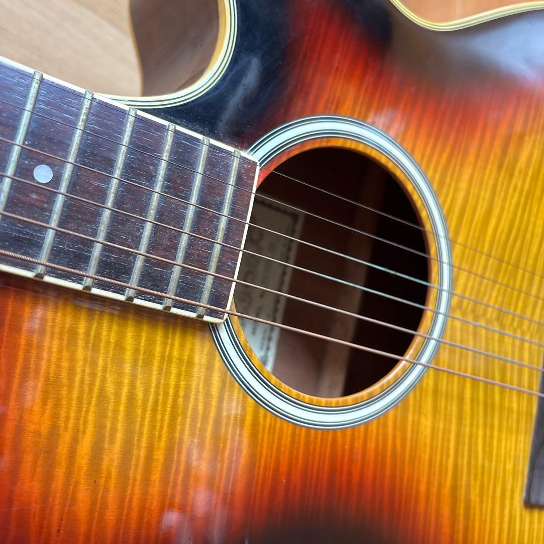 エレクトリック・アコースティックギター　Pro Martin EA500W VS