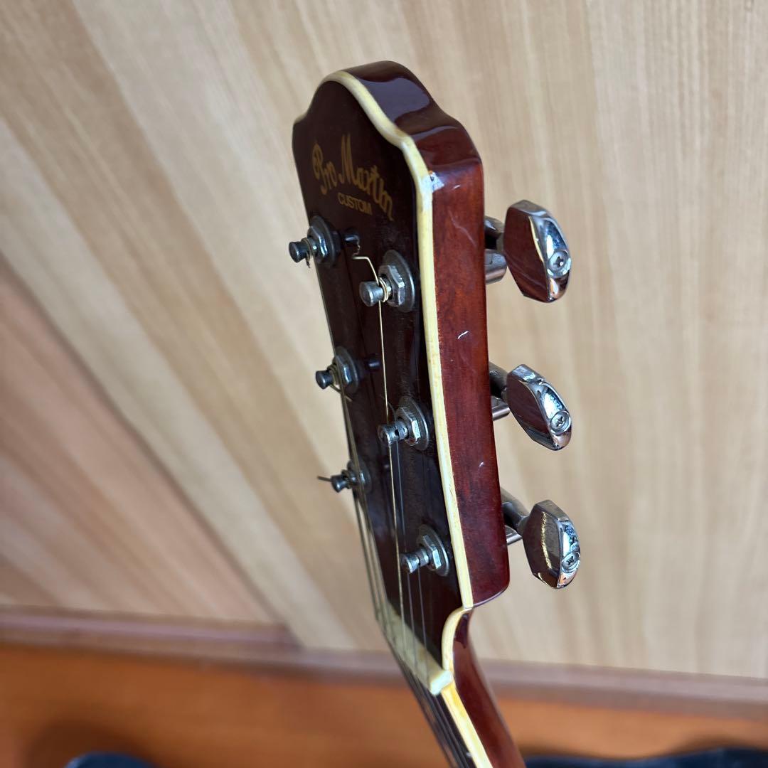 エレクトリック・アコースティックギター　Pro Martin EA500W VS