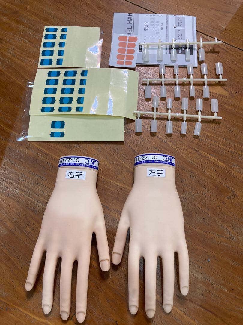 JNEC認定モデルハンド　箱付き　美品