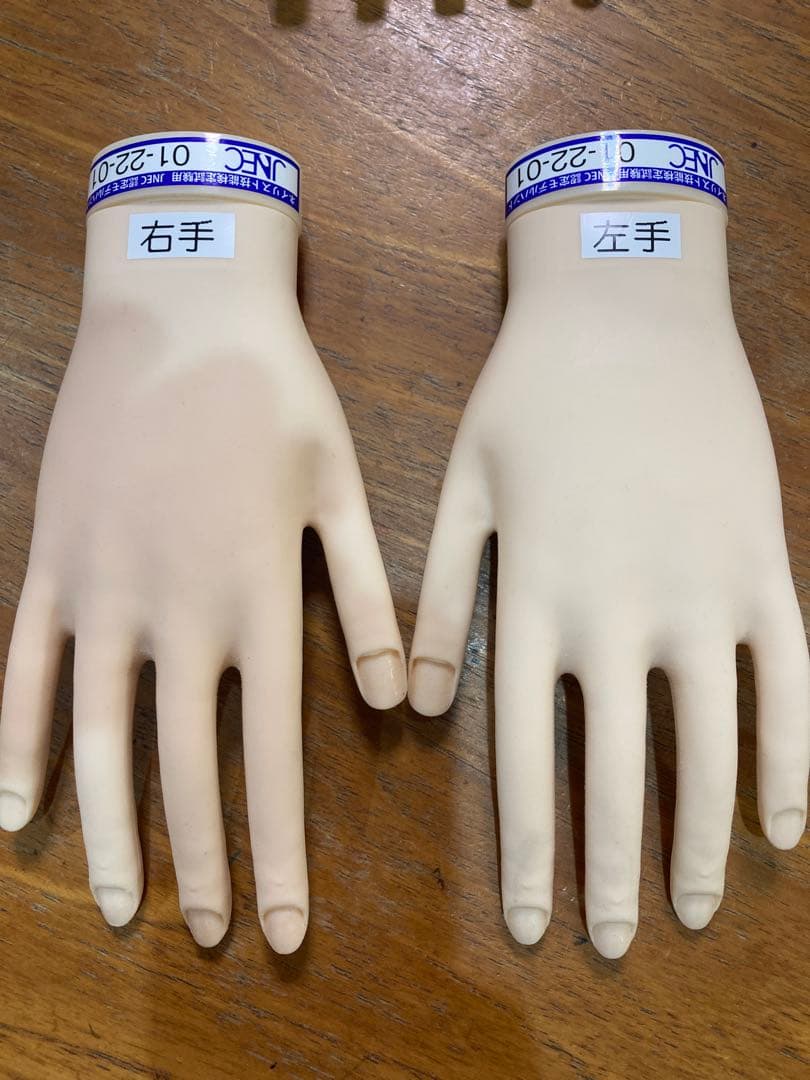 JNEC認定モデルハンド　箱付き　美品
