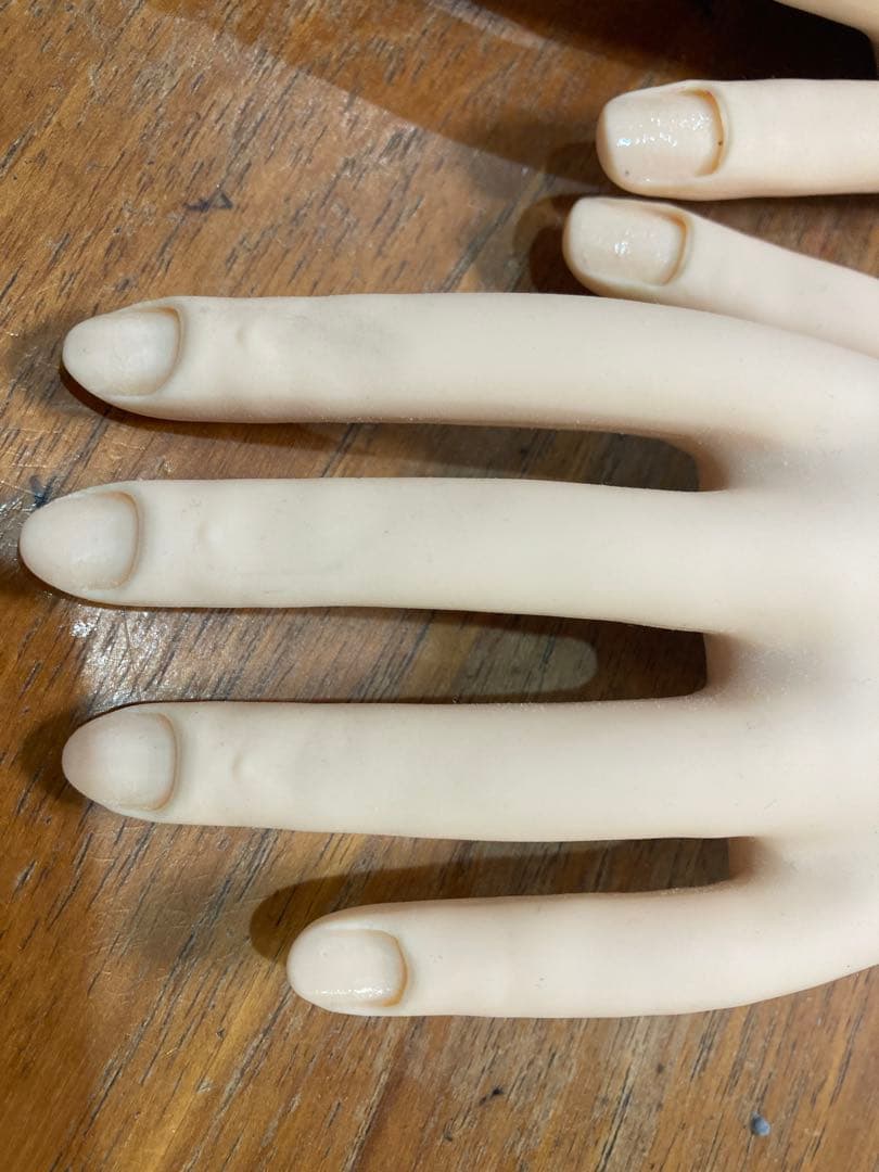 JNEC認定モデルハンド　箱付き　美品