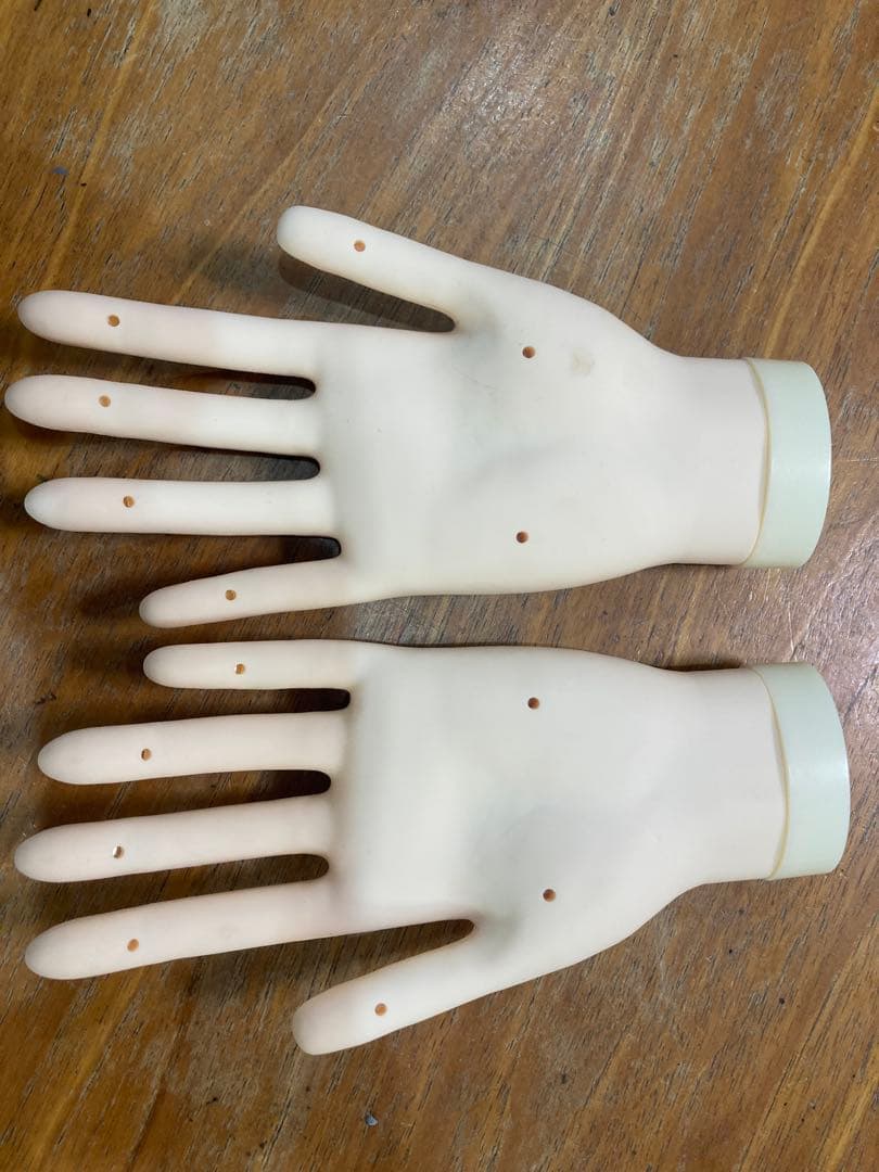 JNEC認定モデルハンド　箱付き　美品