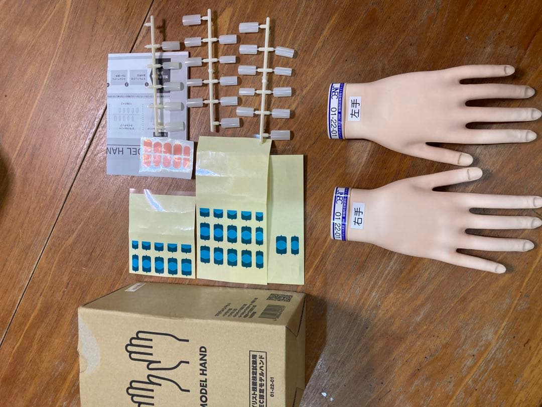 JNEC認定モデルハンド　箱付き　美品