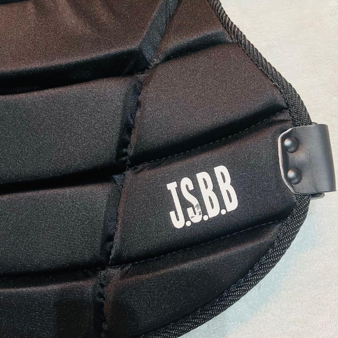 Mizuno 審判　黒　インサイドプロテクター　2YA-444