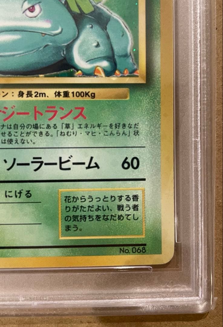 PSA5 旧裏 フシギバナ 初版マークなし