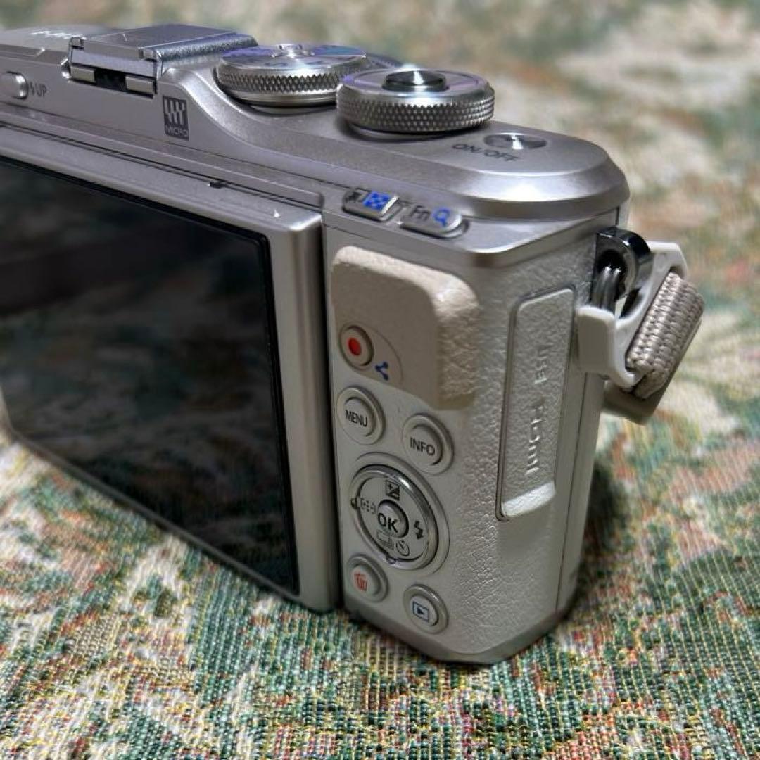 ✳︎即使用可能セット✳︎ Olympus E-PL9 デジタル一眼