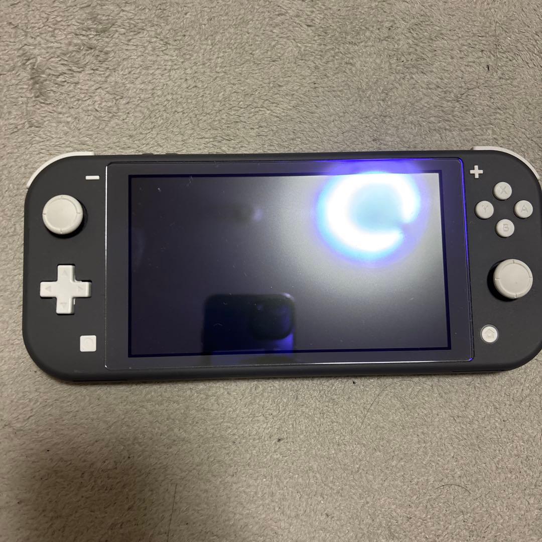 【Beginnerさん専用】Nintendo switch lite本体