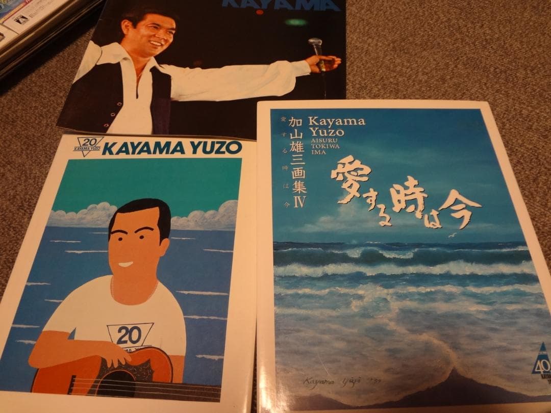 加山雄三　２０ｔｈ写真集・画集直筆サイン入り/リサイタルパンフレット