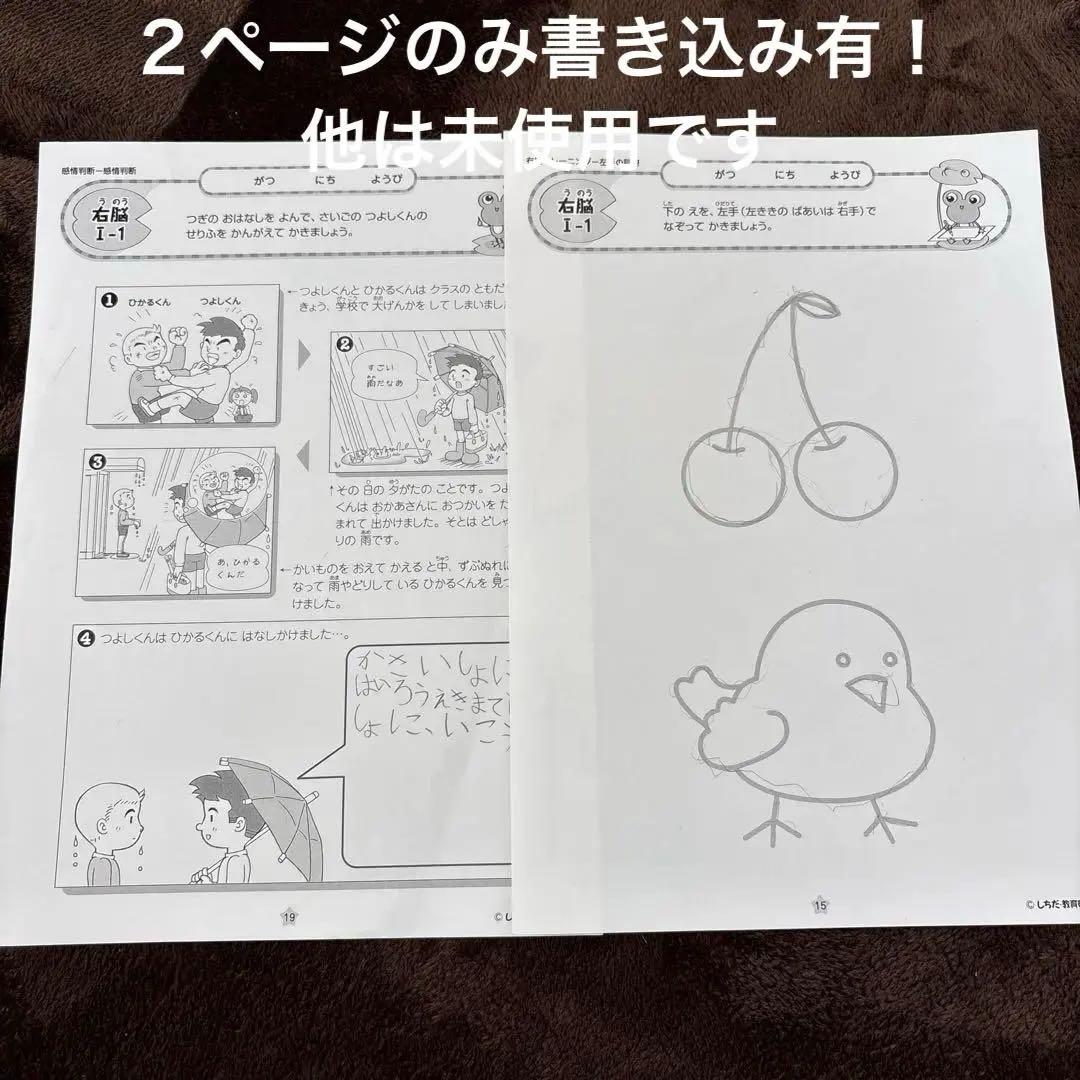 SALE！知育！七田式小学生プリント 右脳 知育 シチダ お受験 こぐま会