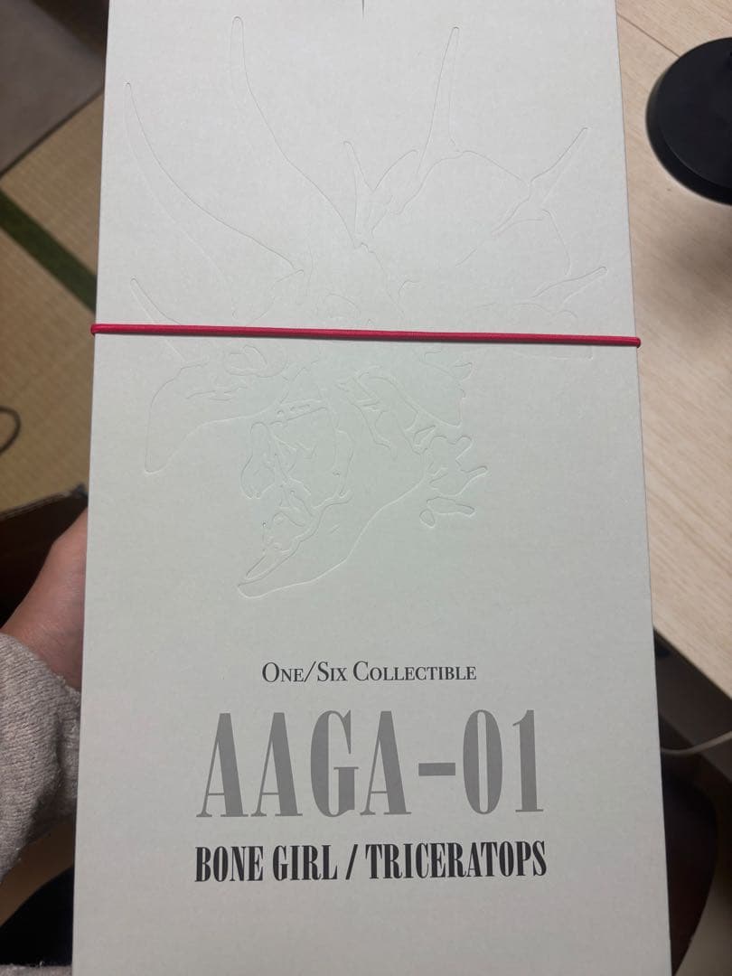 FIERCE GIRLS AAGA-01 フィギュア