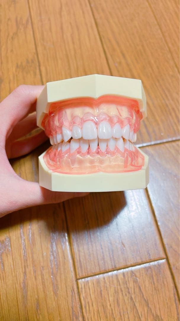 歯科衛生士　シンプルマネキン