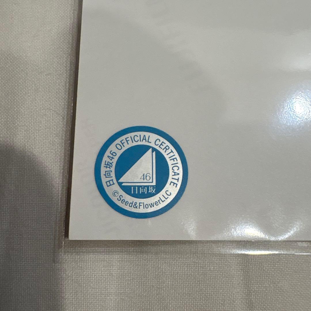 坂井新奈 日向坂46 ライブ 生写真 直筆 サイン