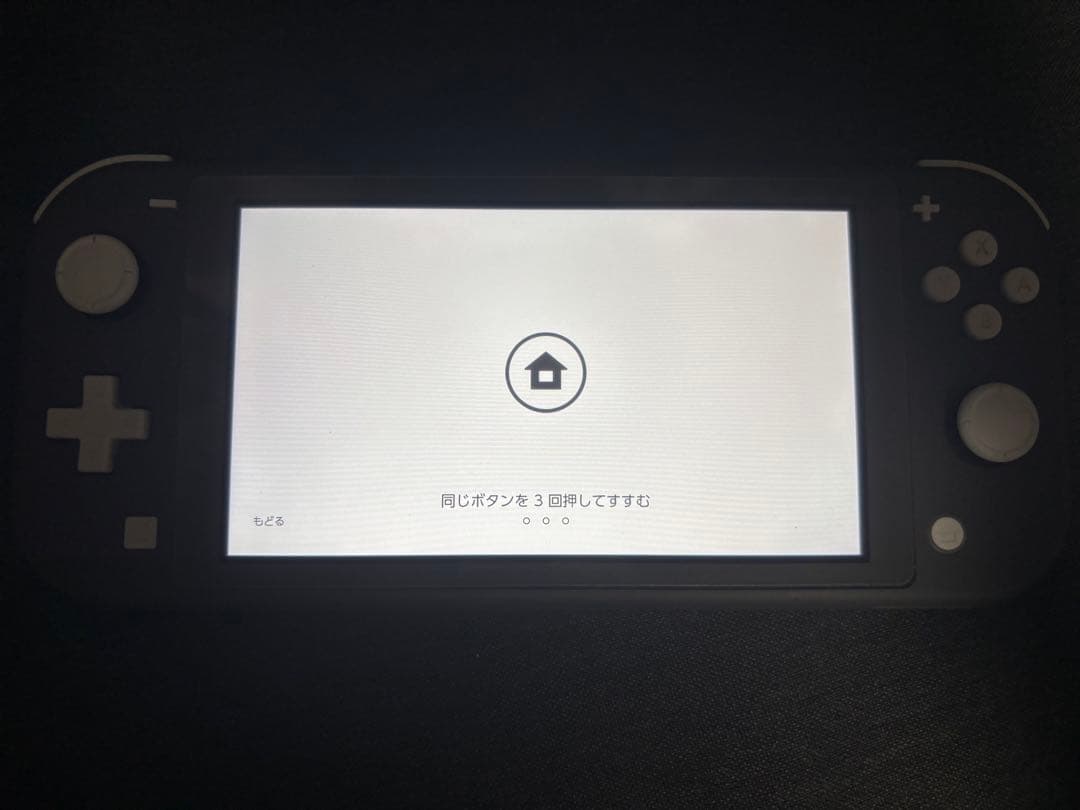 Nintendo Switch Nintendo Switch Lite Gray