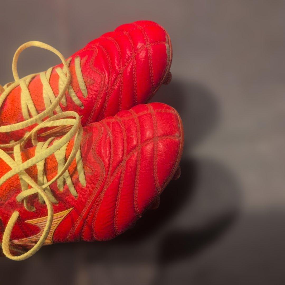 モレリアネオ4β　24cm　フェアリーコーラル×ボルト