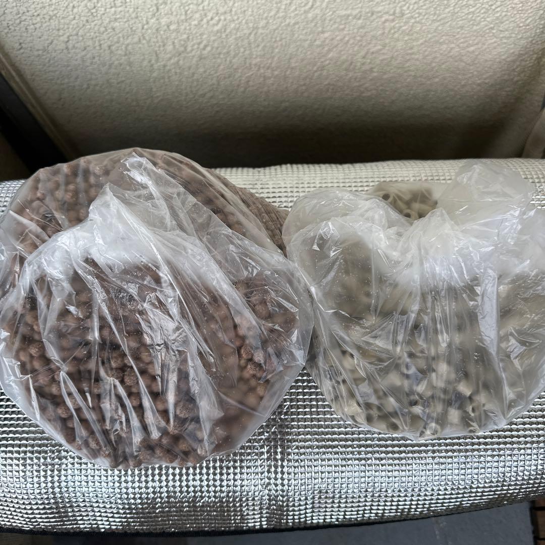 EHEIM ポンプ 221729セット中古品