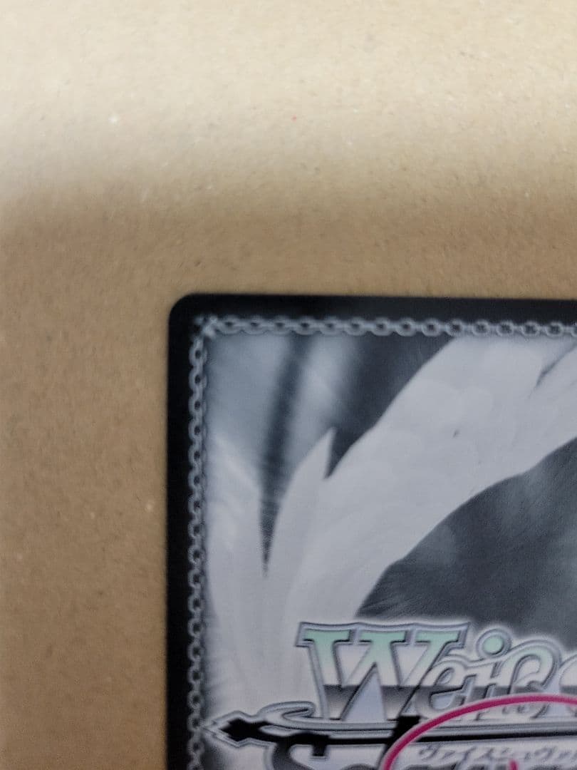 ヴァイスシュヴァルツロゼ SSP 届いた場所 みさき