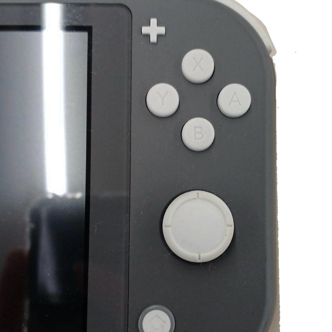 Nintendo Switch Lite グレー スイッチライト 本体　充電器付