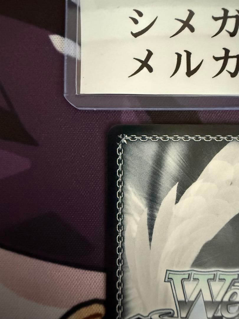 ショータイム　ブラン　SP、SSPセット