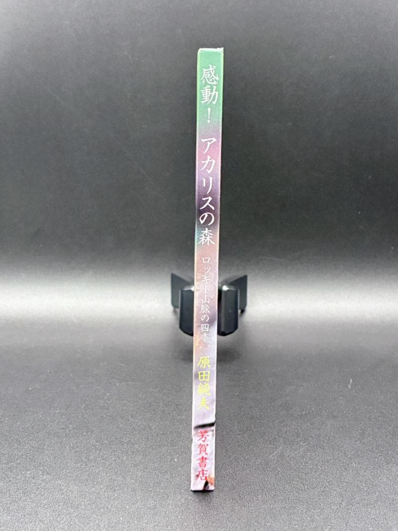 感動！アカリスの森　ロッキー山脈の四季