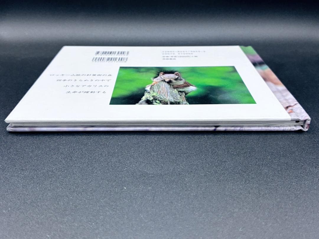 感動！アカリスの森　ロッキー山脈の四季