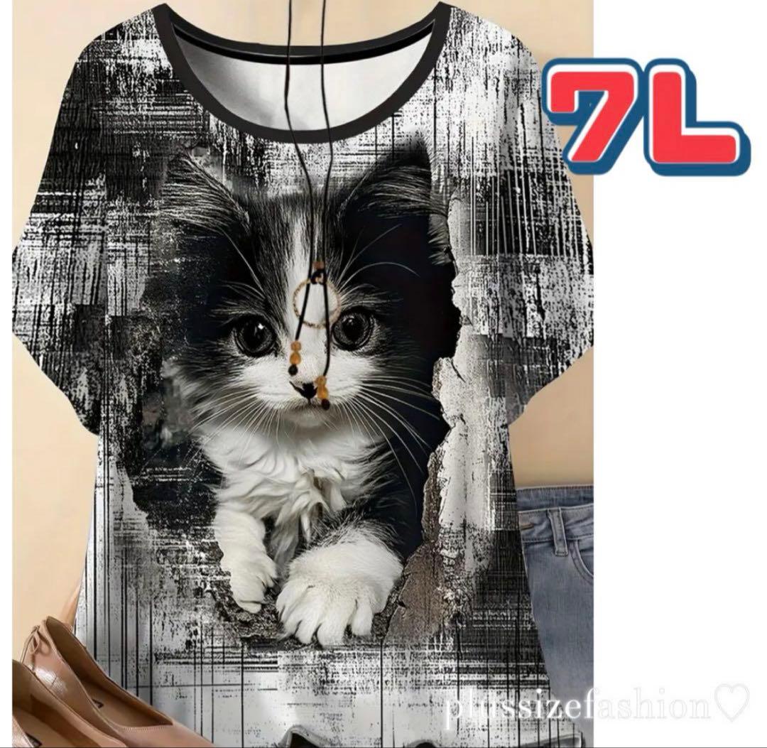 パンダ•*¨*•.¸♬︎ 6点リクエスト