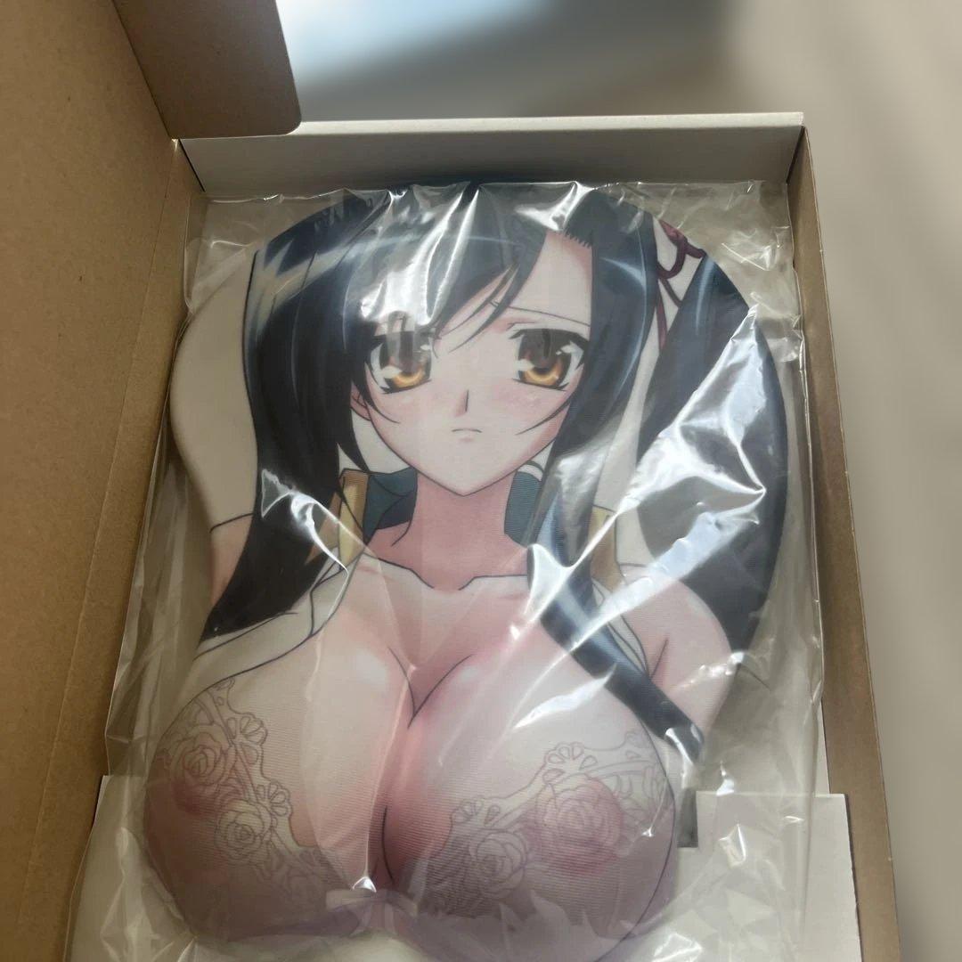 恋姫 無双 + 真+ 乙女大乱 　DVD 全21巻 限定版セット