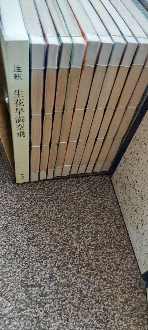 生花早満太飛 全10巻セット