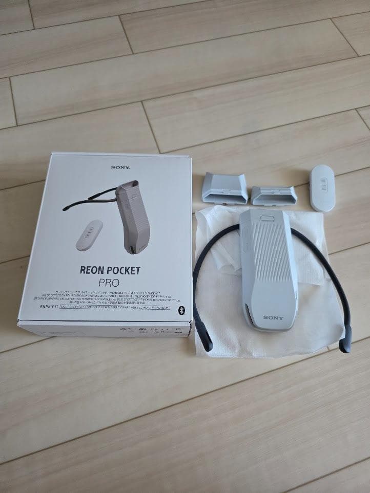 中古 SONY REON POCKET PRO RNPK-P1T レオンポケット