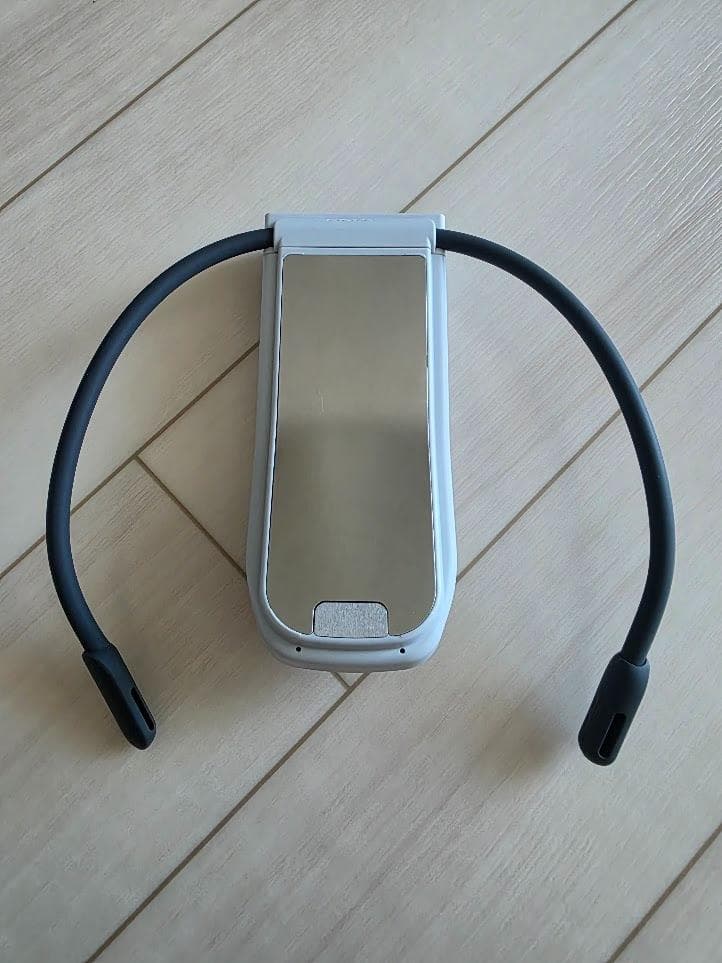 中古 SONY REON POCKET PRO RNPK-P1T レオンポケット