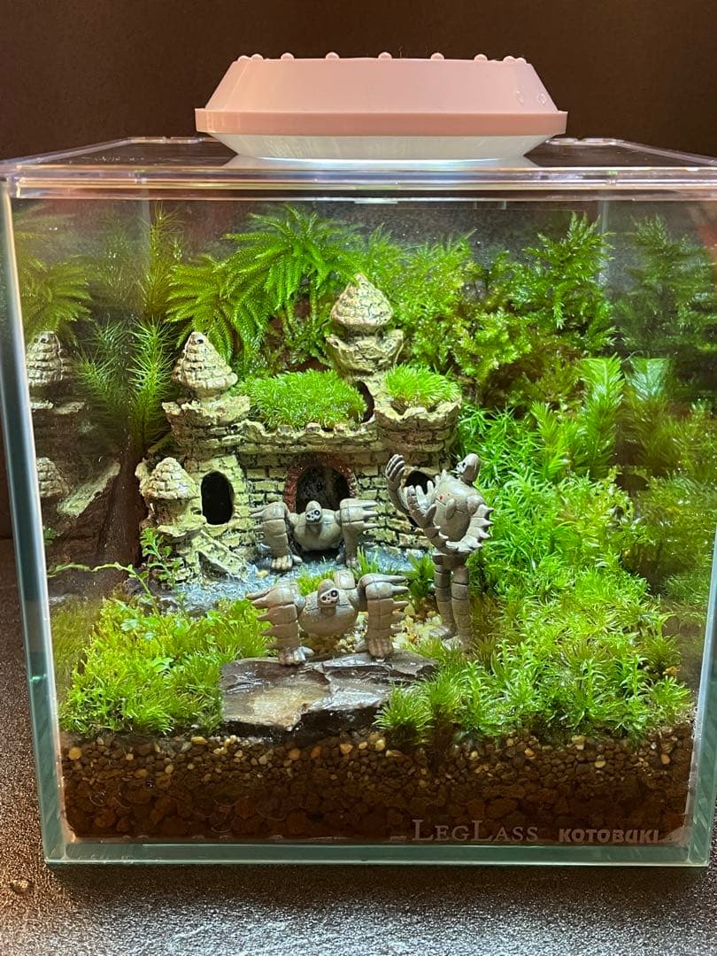 専用商品　苔テラリウム+ライト付　⑦