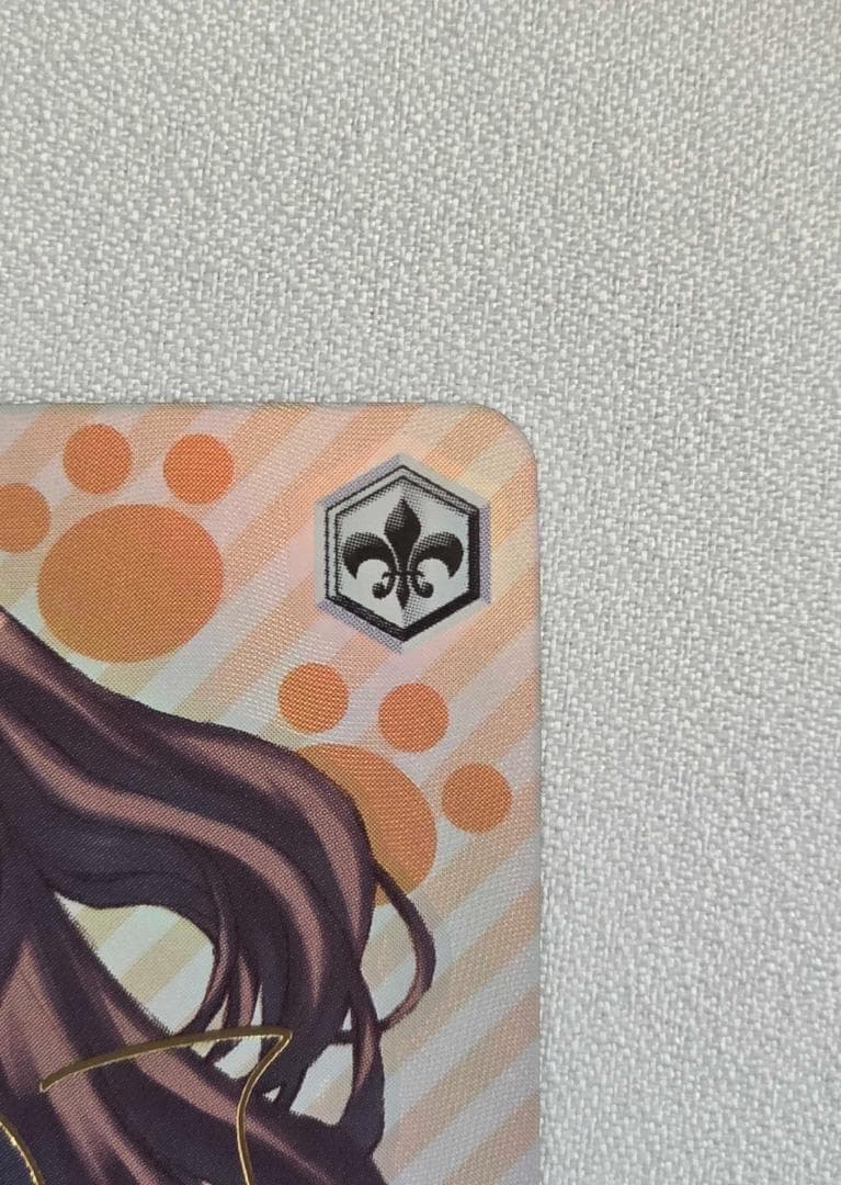 ヴァイスシュヴァルツ　電撃文庫 手乗りタイガー 大河 SP サイン