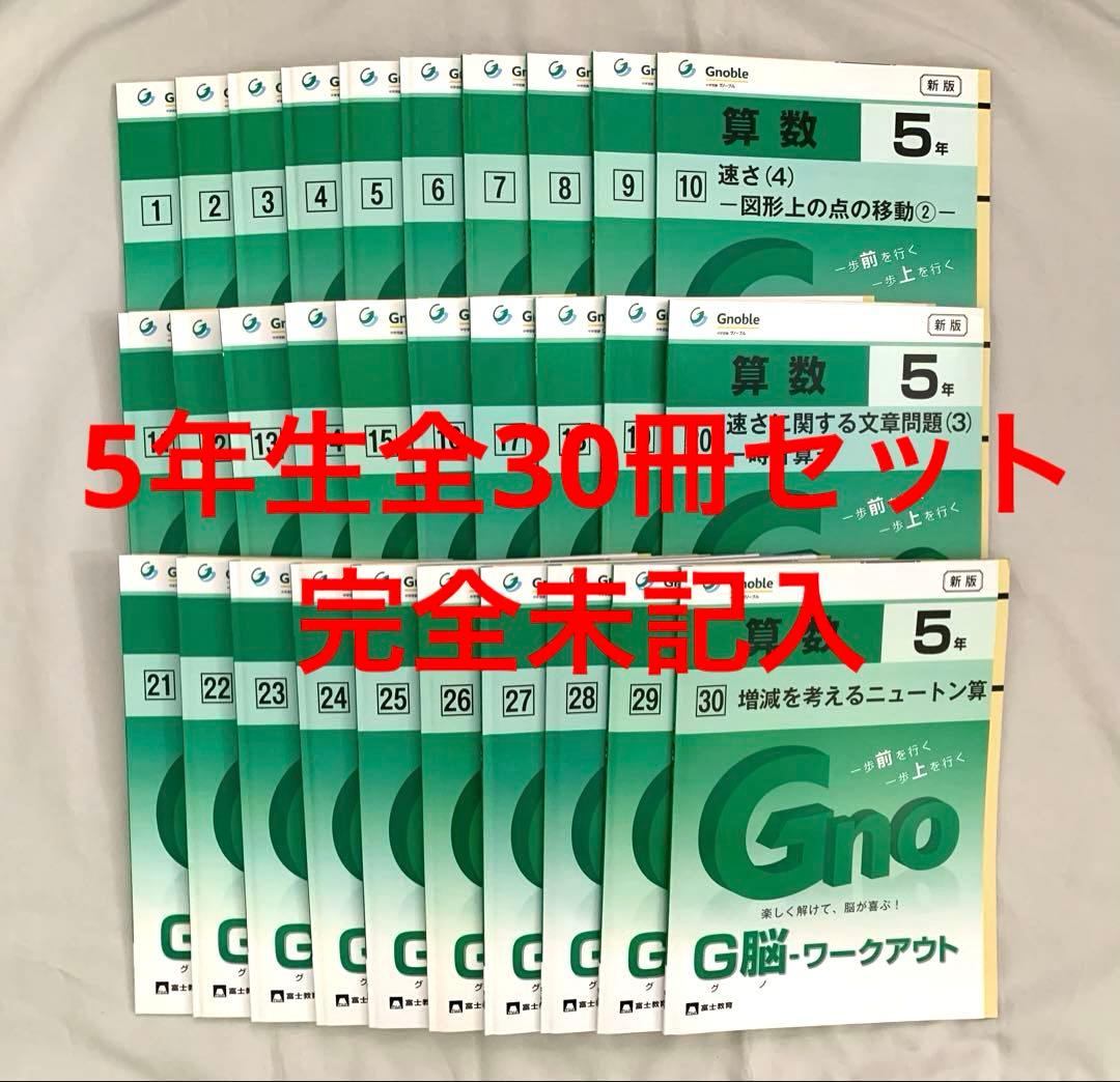 全30冊未記入/極美品★5年生算数グノーブルG脳グノワークアウトGWO/浜学園希