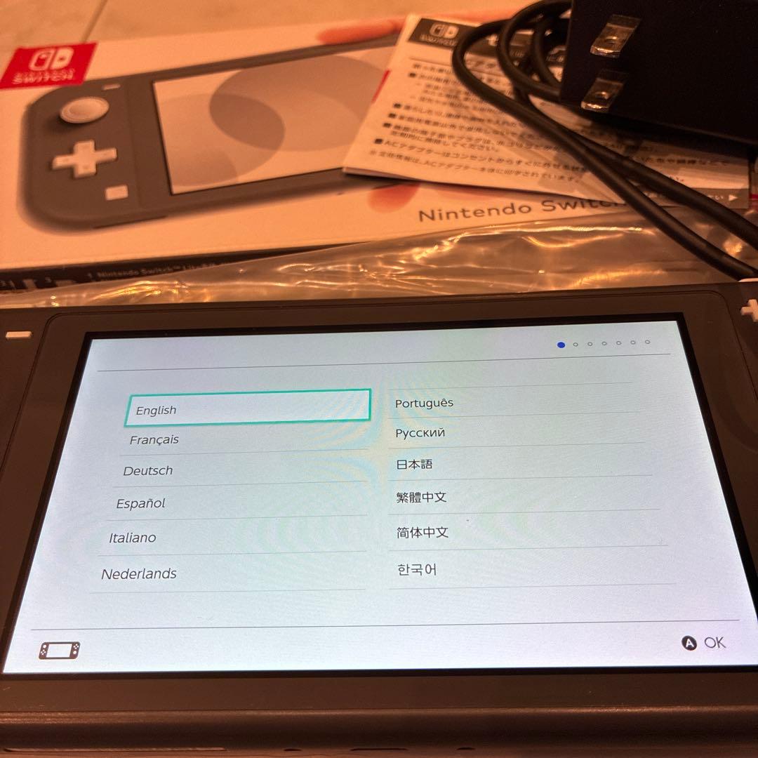 Nintendo Switch Lite グレー 充電器付　箱あり　2020年製
