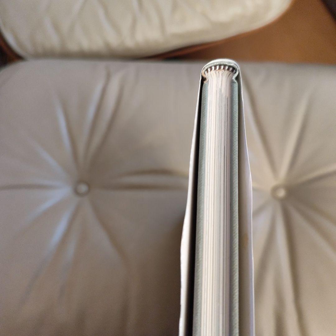 フォトグラフィング アーキテクチャ アンド インテリア/ジュリウス シェルマン